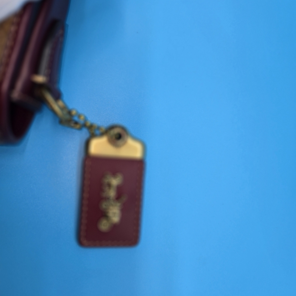 Coach Purple and Brown Women's Bag - Picture 2 of 12